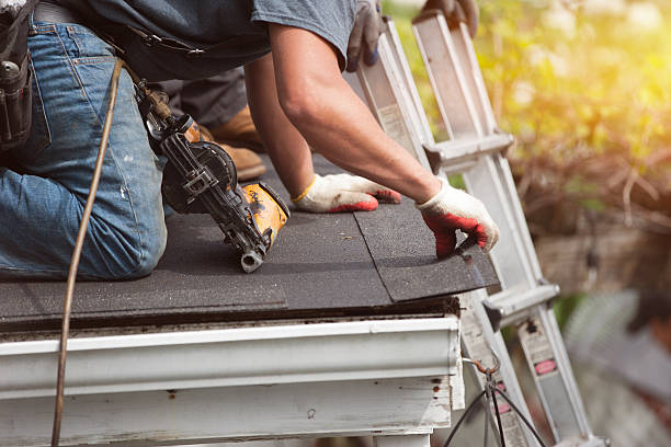 Best Roof Leak Repair  in Crystal, MN